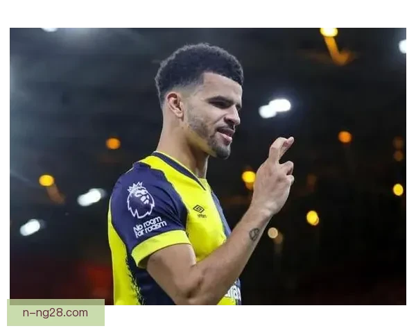 热刺官宣签下伯恩茅斯锋线尖刀索兰克加强攻击力 热刺官宣签下伯恩茅斯锋线尖刀索兰克加强攻击力